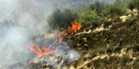 رام الله: مستوطنون يحرقون أشجار زيتون في دير نظام