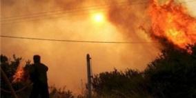 اندلاع حريق ضخم في منطقة الجبعة الحرجية القريبة من الخليل