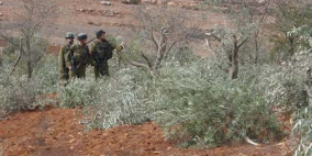 الاحتلال يخطر مزارعا من الخضر بإخلاء أرضه