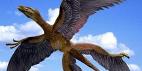 علماء بريطانيون: ديناصورات لم تنقرض بل تحولت إلى طيور