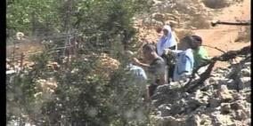 مستوطنون يعتدون على عائلة ويحاولون سرقة الزيتون جنوب نابلس