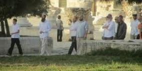 "مؤسسة الاقصى" : أكثر من ستين مستوطنا يقتحمون ويدنسون المسجد الاقصى ودعوات الى إضاءة مشاعل "الحانوكا" فيه