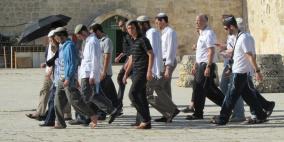 إحصائية: 6311 مستوطنا وجنديا اقتحموا الأقصى منذ بداية العام