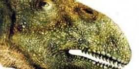 ديناصور مغربي عمره 112 مليون سنة يغيب "إلى الأبد"