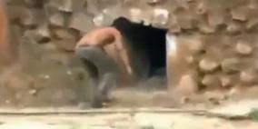 بالفيديو .. مغامر هندي يتحدى نمورا في عقر دارها