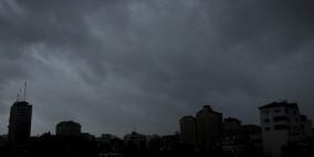 الوحيدي: أمطار العام وفيرة وتحمل الخير للزراعة بغزة