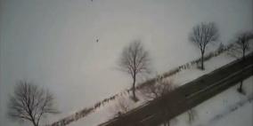 بالفيديو.. صراع في الجو بين صقر وغراب