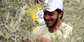الاتصالات الفلسطينية تنظم يوماً لمساعدة قاطفي ثمار الزيتون في نابلس