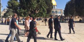 في الذكرى الـ47 لإحراقه... مستوطنين يجددون اقتحامهم للأقصى