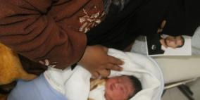 24 ألف مولود جديد في قطاع غزة خلال 6 شهور