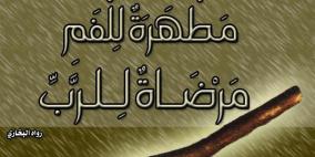 ما هي فوائد السواك؟