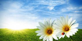 حالـــــة الطقـــــــس