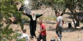 مستوطنون يهاجمون بورين جنوب نابلس