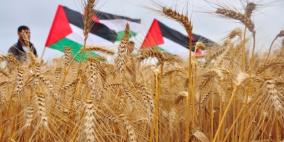 'الزراعة' توقع اتفاقية تعاون مع 'الفاو' لإعادة اعمار القطاع الزراعي بغزة