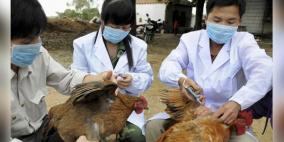 الصين تعلن عن وفاة شخص بفيروس أنفلونزا الطيور