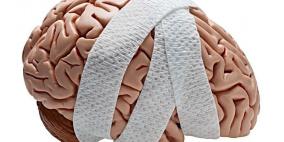 علماء: العدوانية سببها موت خلايا الدماغ