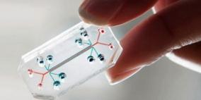 تطوير رقيقة بلاستيكية تحمي المنتجات التقنية من السطو الفكري