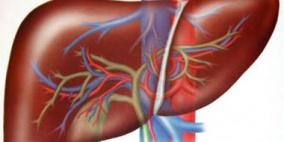 علاقة الجلد بالدهون الموجودة على الكبد