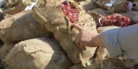 ضبط 450 كغم من الكستناء المتعفنة في جنين