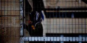 42 اسيرة يعشن ظروفاً صعبة في سجون الاحتلال