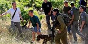 الاحتلال يعتدي على المزارعين في أم الخير جنوب الخليل