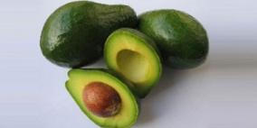 الأفوكادو يساعد فى خفض مخاطر أمراض القلب بين البدناء