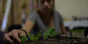 مخاوف من "اندثار" علم النبات