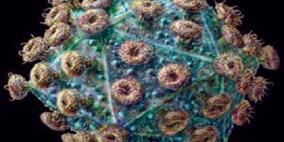 كبح فيروس HIV يقلل من مخاطر نقل المرض لشخص آخر