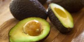 دُهن الأفوكادو..سلاح مدمر لخلايا سرطان الدم الجذعية