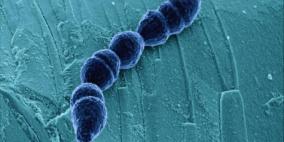 اكتشاف سلالة لجرثومة آكلة لحوم البشر
