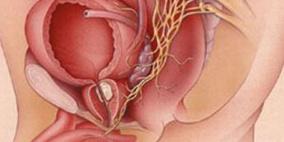 دراسة: مكملات زيت السمك تحد من مخاطر سرطان البروستاتا