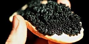 اغلي طعام في العالم