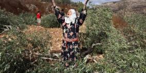 مستوطنون يحطمون أشجار زيتون غرب رام الله