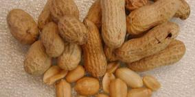 الفول السودانى يقلل معدلات الإصابة بأمراض القلب