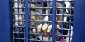 أسيران يخوضان اضراباً مفتوحاً عن الطعام لليوم الرابع