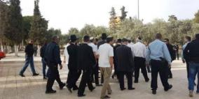مستوطنون يواصلون اقتحام الأقصى معززين بقوات الاحتلال