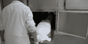 لم يلاحظ موت زوجته لمدّة شهر كامل! 