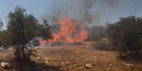 مستوطنون يحرقون  30 دونما من الأراضي الزراعية 
