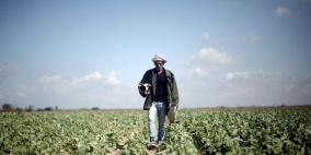 الزراعة في فلسطين..ما بين التطور والانهيار