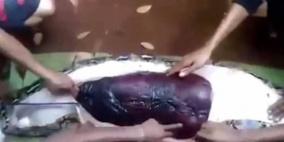 ثعبان ضخم يبتلع امرأة في إندونيسيا