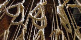  العراق ينفذ حكم الإعدام بـ12 "مدانا" 