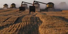 البذور السورية تنقذ محاصيل القمح في الولايات المتحدة