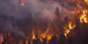 الحرائق تكبد كاليفورنيا خسائر مالية وبيئية فادحة