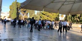 توتر في الاقصى.. .اقتحامات استفزازية واعتقالات 