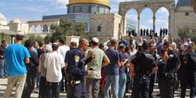 مستوطنون يقتحمون المسجد الأقصى مجددًا 
