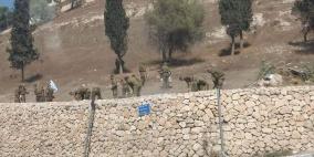 جنود الاحتلال يقتلعون الأشجار في وادي الربابة