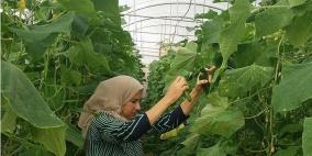 البنك الوطني وصندوق سند يوقعان اتفاقية شراكة بقيمة 5 مليون دولار