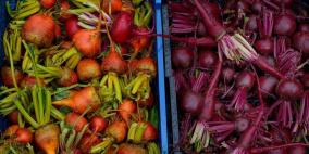 ما لا تعرفه عن فوائد الشمندر الأحمر