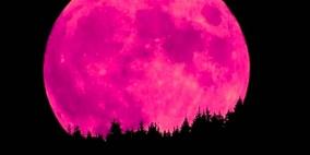 "القمر الوردي" يطل اليوم على الأرض