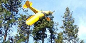 نجاة طيار من هبوط انتهى فوق شجرة عملاقة